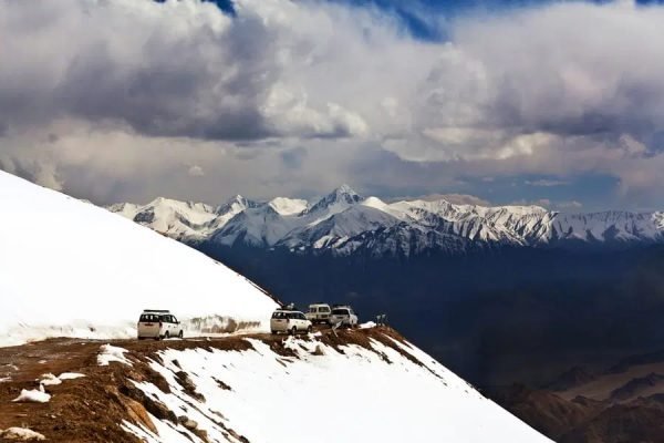 Untitled-5
